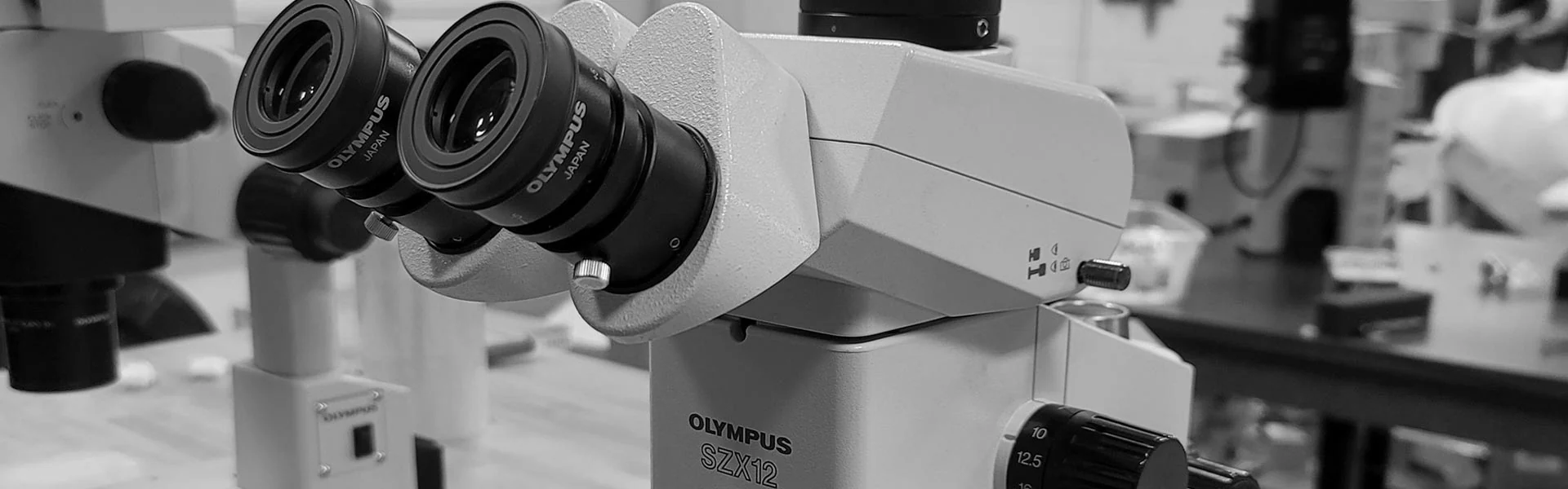 Precision Optics for Pathologists